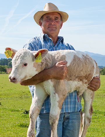 Landwirt, der ein Kalb auf dem Arm hält